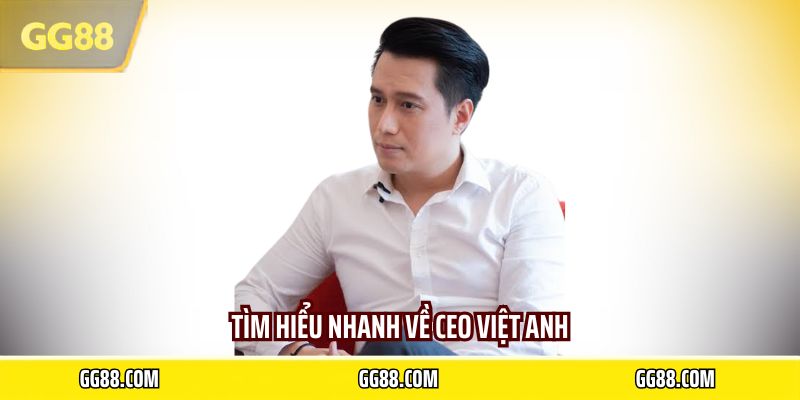 Tìm hiểu nhanh về CEO Việt Anh